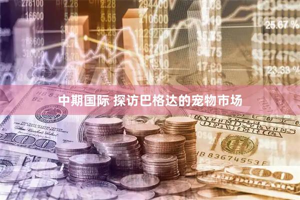 中期国际 探访巴格达的宠物市场