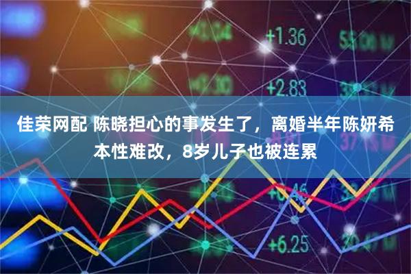 佳荣网配 陈晓担心的事发生了，离婚半年陈妍希本性难改，8岁儿子也被连累