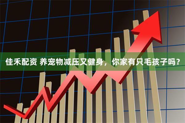 佳禾配资 养宠物减压又健身，你家有只毛孩子吗？