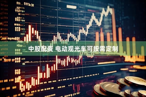 中股配资 电动观光车可按需定制