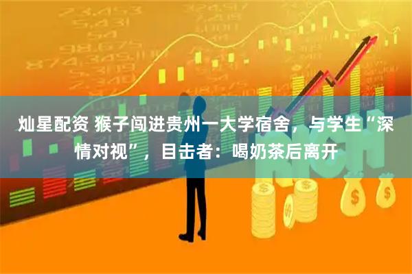 灿星配资 猴子闯进贵州一大学宿舍，与学生“深情对视”，目击者：喝奶茶后离开