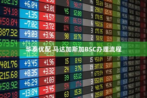 华泰优配 马达加斯加BSC办理流程