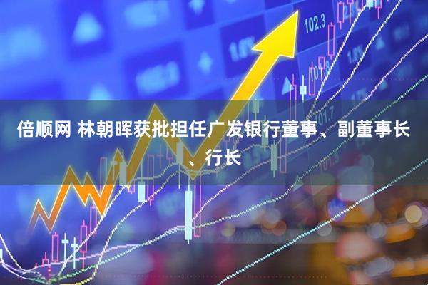 倍顺网 林朝晖获批担任广发银行董事、副董事长、行长