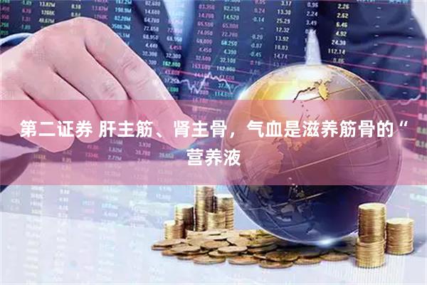 第二证券 肝主筋、肾主骨，气血是滋养筋骨的“营养液